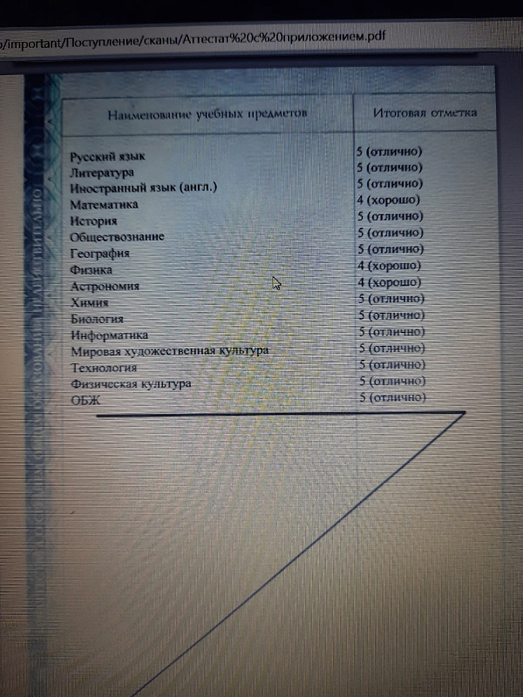 Документ репетитора Юркина Екатерина Владимировна под номером 3