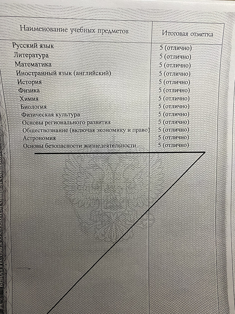 Документ репетитора Салахутдинова Дарья Александровна под номером 2