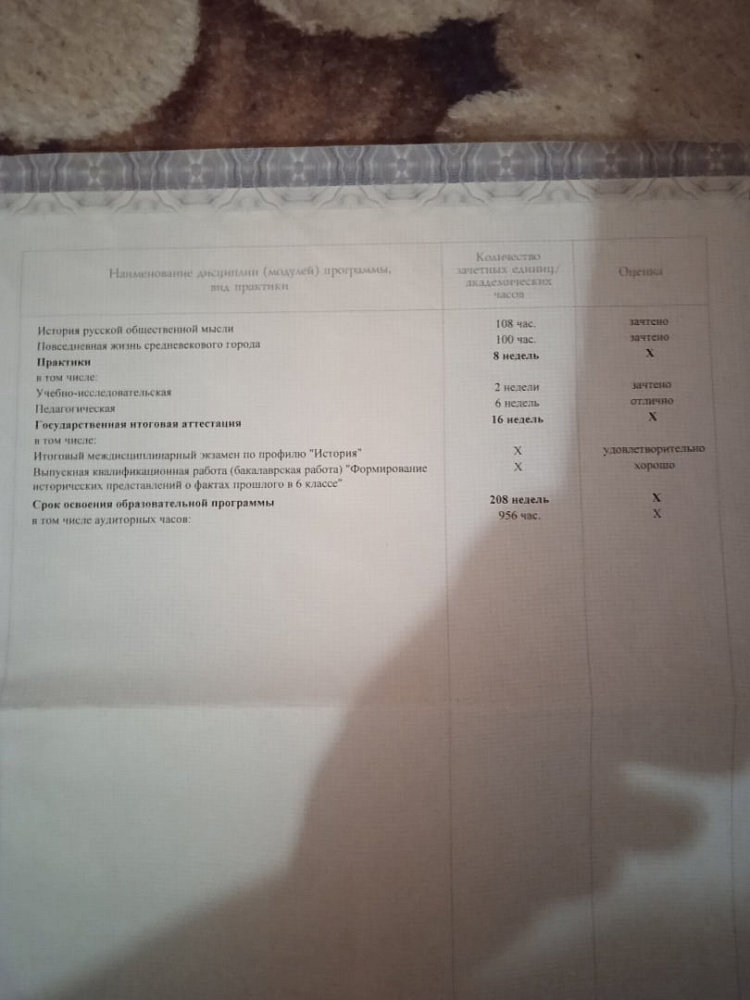 Документ репетитора Горохова Татьяна Александровна под номером 2